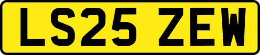 LS25ZEW