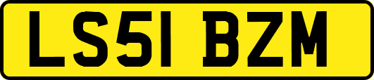 LS51BZM