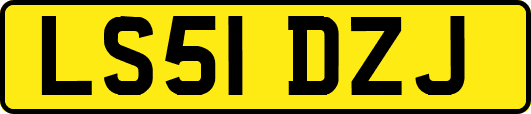 LS51DZJ