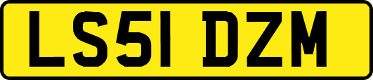 LS51DZM