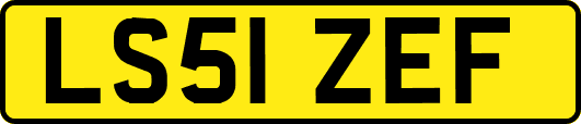 LS51ZEF