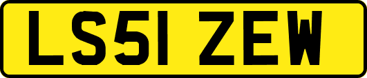 LS51ZEW