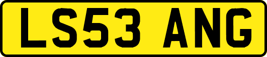 LS53ANG