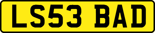 LS53BAD