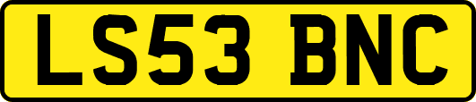 LS53BNC