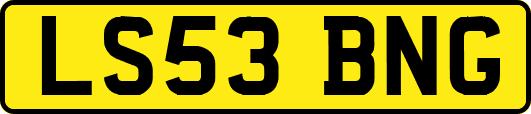 LS53BNG