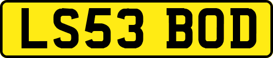 LS53BOD