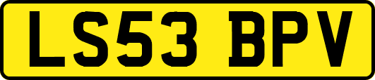 LS53BPV