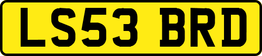 LS53BRD