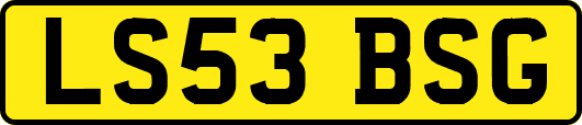 LS53BSG