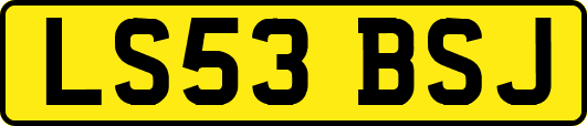 LS53BSJ