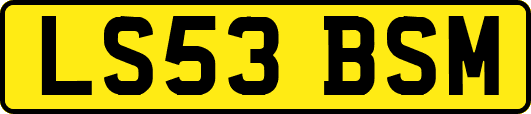 LS53BSM