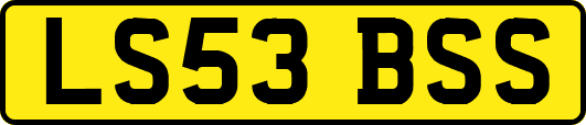 LS53BSS