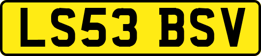 LS53BSV