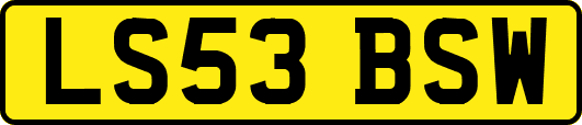 LS53BSW
