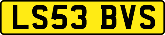 LS53BVS