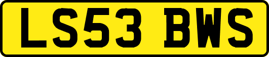 LS53BWS