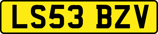 LS53BZV