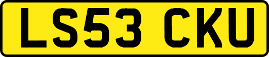 LS53CKU