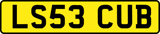 LS53CUB