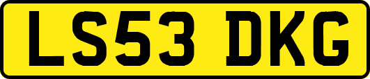 LS53DKG