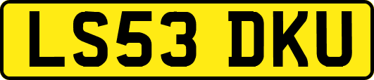 LS53DKU