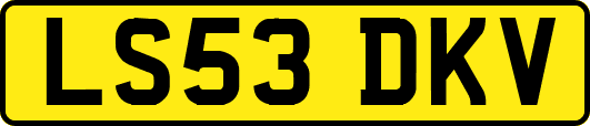 LS53DKV