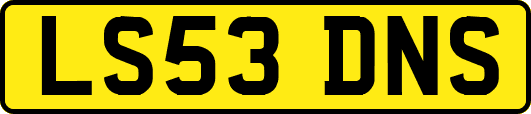 LS53DNS