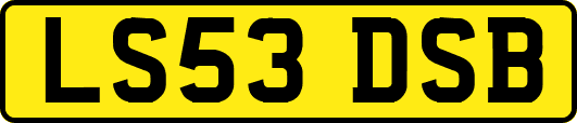 LS53DSB