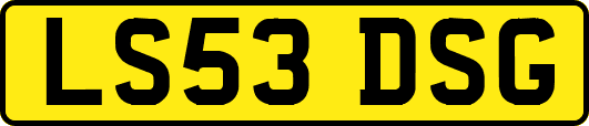 LS53DSG