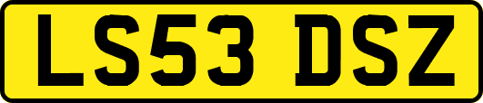 LS53DSZ