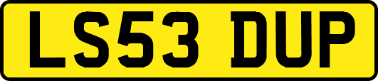 LS53DUP