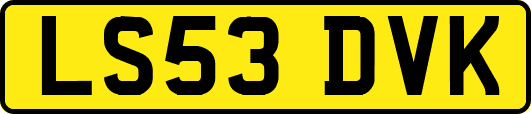 LS53DVK