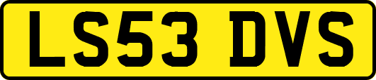 LS53DVS