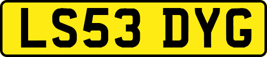 LS53DYG