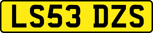 LS53DZS