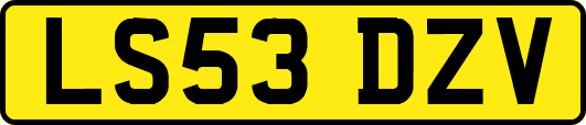 LS53DZV