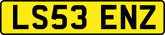 LS53ENZ