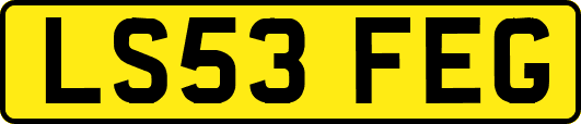 LS53FEG