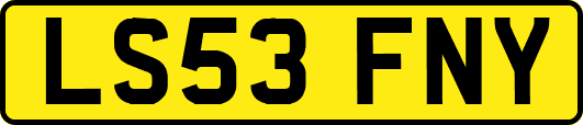 LS53FNY