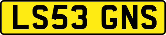 LS53GNS