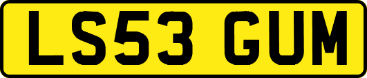 LS53GUM