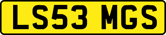 LS53MGS