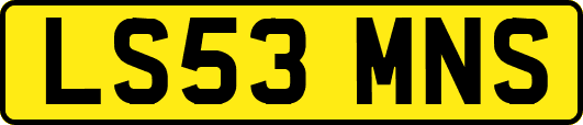 LS53MNS
