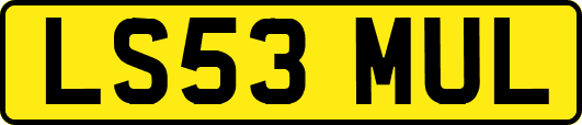 LS53MUL