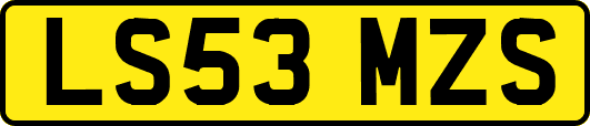LS53MZS
