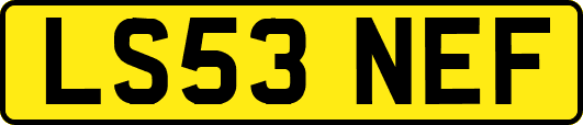 LS53NEF