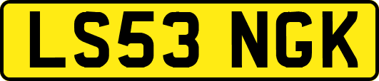 LS53NGK