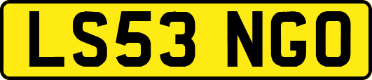 LS53NGO