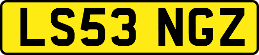LS53NGZ